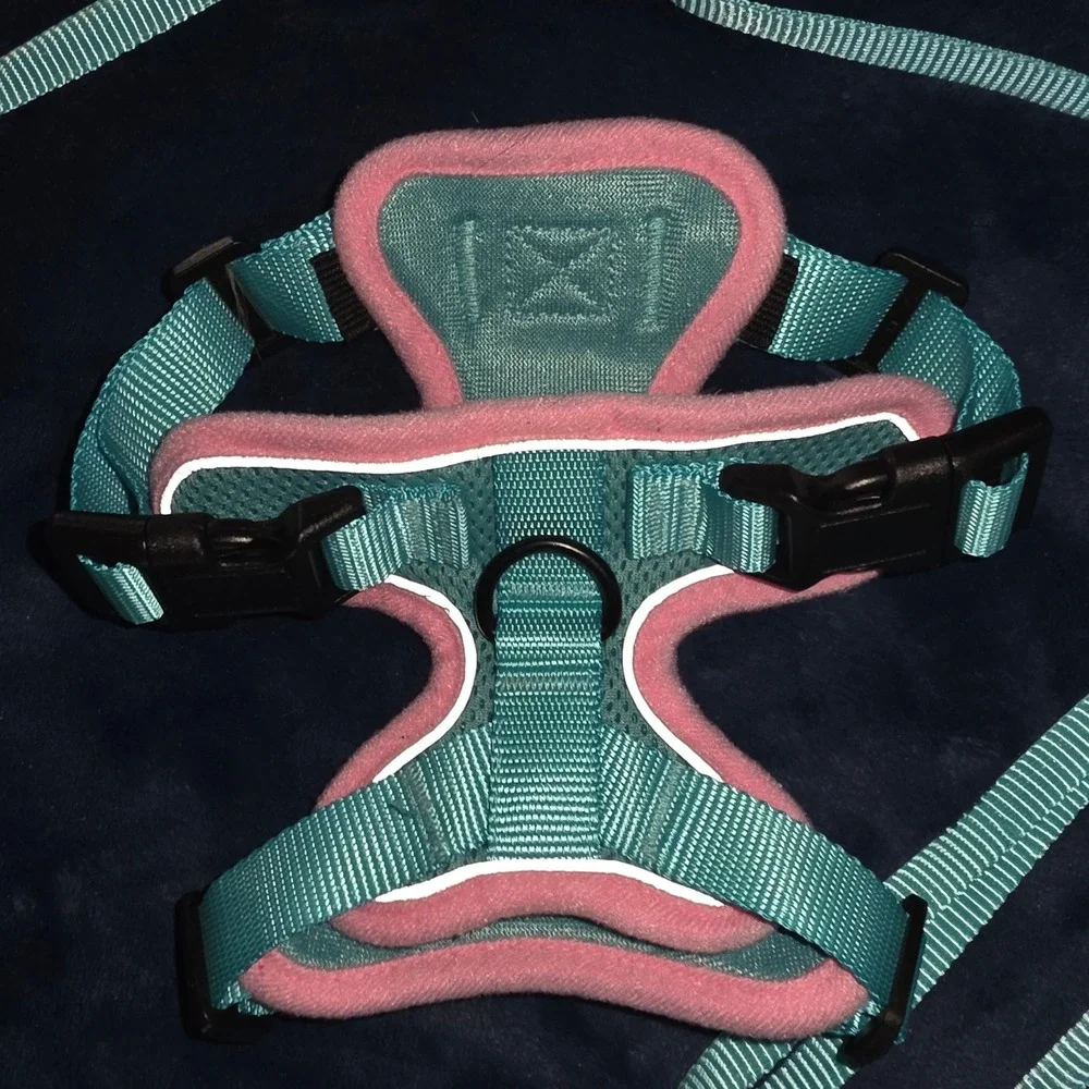 Rabbitgoo Cat Harness and Leash Set Green Pink XS Escape Proof Mesh Vest
